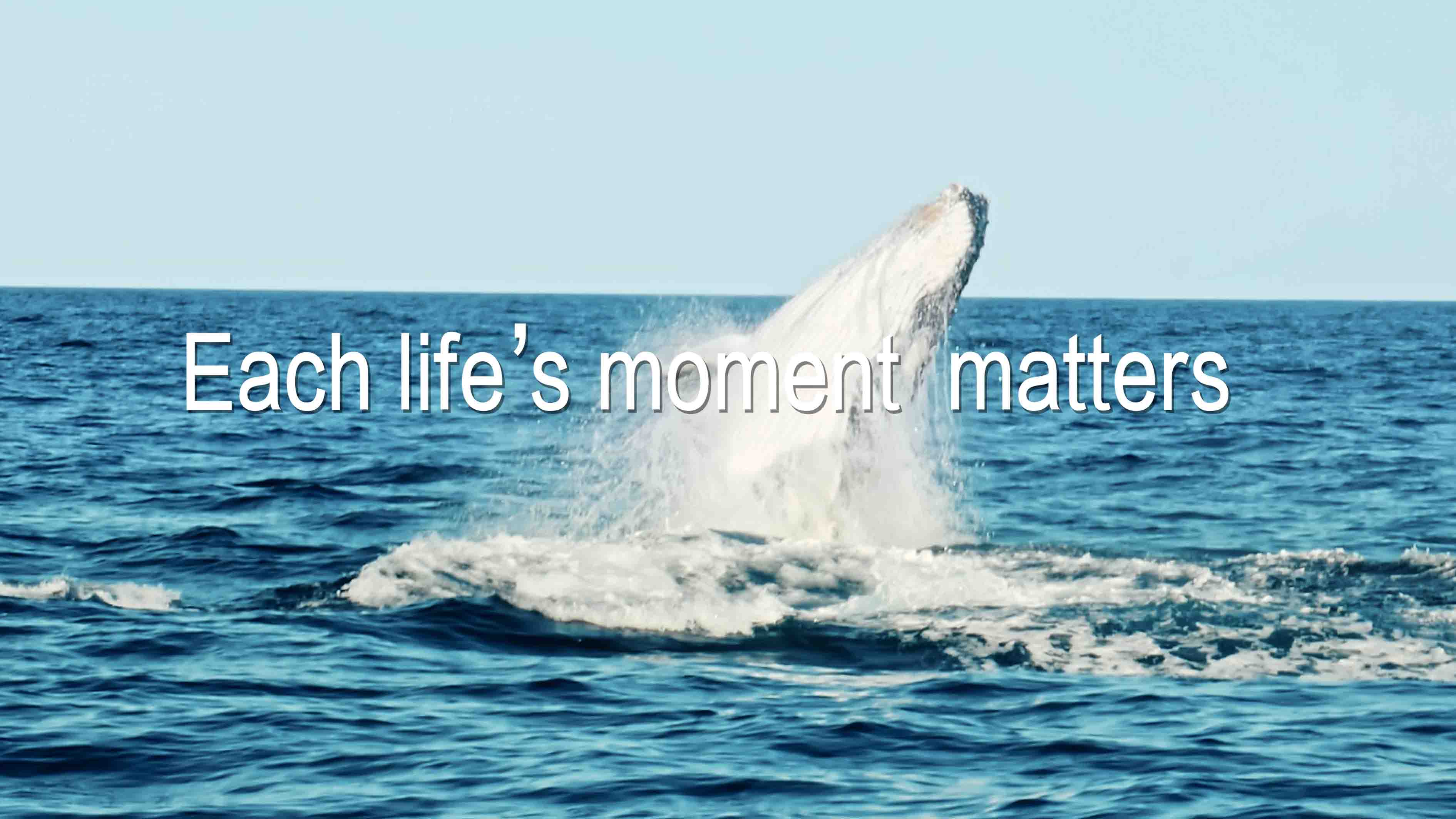 艾康生物2025品牌宣傳片